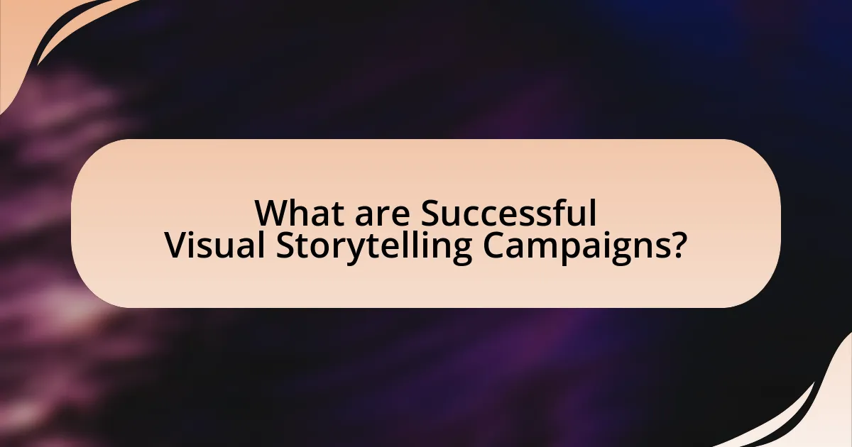 What are Successful Visual Storytelling Campaigns?