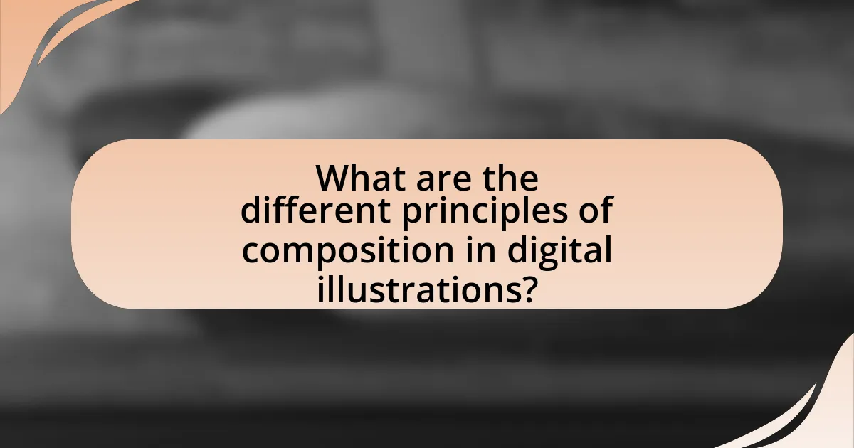 What are the different principles of composition in digital illustrations?