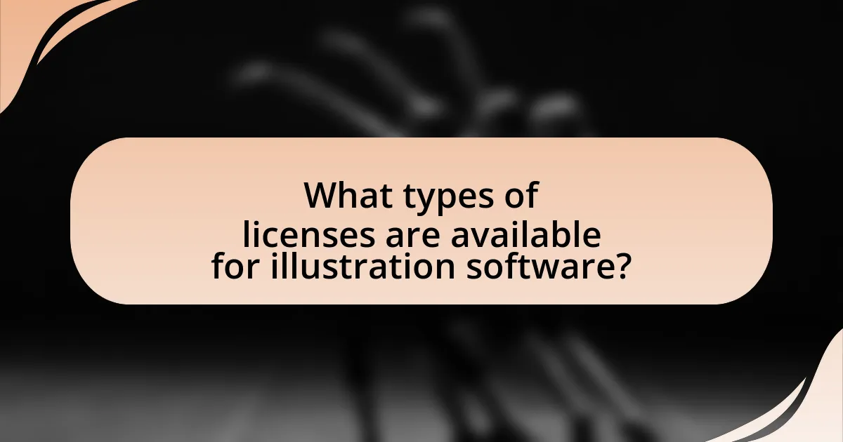 What types of licenses are available for illustration software?